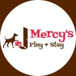 Mercy's Play and Stay Profile Picture