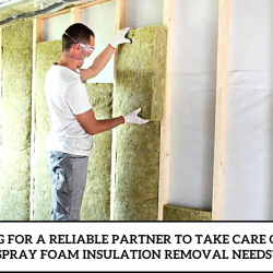 Looking for a reliable partner to take care of your spray foam insulation removal needs? | Visual.ly
