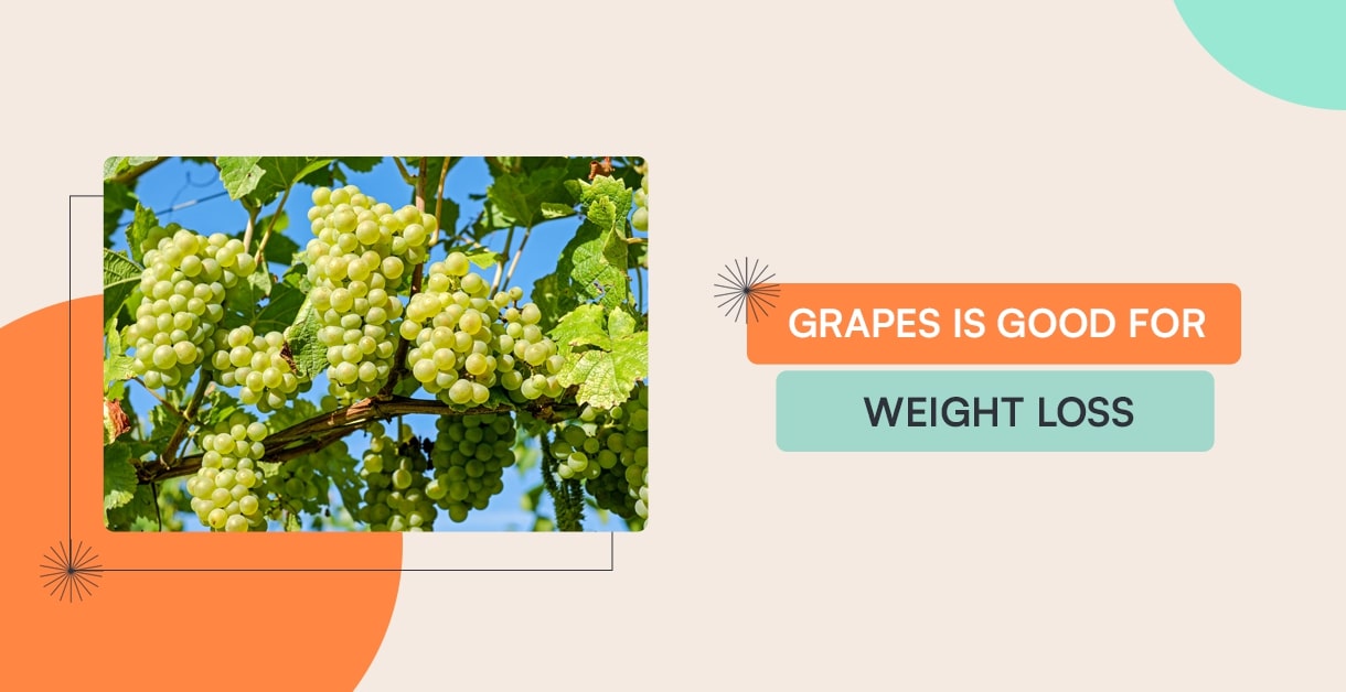 Grapes Is Good For Weight Loss: 6 Reasons To Add It To Your Diet