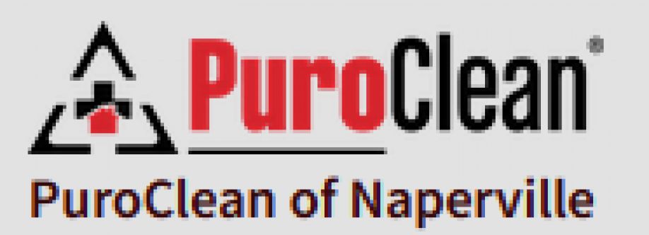 PuroClean Water  Fire Damage Restoration Naperville Cover Image