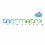 Techmatrix Consulting Profile Picture