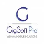 Gigsoft Pro Profile Picture