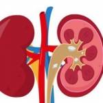 Kidney Treatment In India Profile Picture