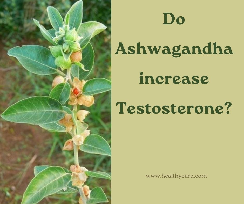 Benefits of Ashwagandha for Men:- Testosterone, Libido Energy