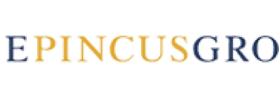 The Pincus Group Cover Image