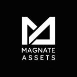 Magnate Assets Profile Picture