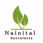 nainital succulents Profile Picture