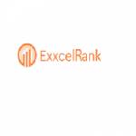 Exxcelrank LLC Profile Picture