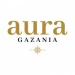 Aura Gazania Profile Picture