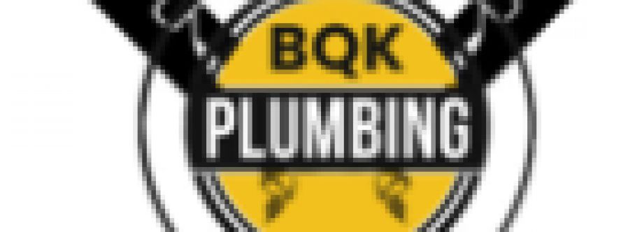 Bee Quick Plumbing  Sewer Naperville Cover Image