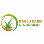 Bablu Farm And Nursery Profile Picture