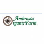 Ambrosia Organic Farm Profile Picture