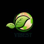 Vibest International Profile Picture
