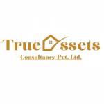 True Assets Consultancy Profile Picture