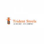 Trident Investment Castings profile picture