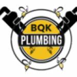Bee Quick Plumbing  Sewer Naperville Profile Picture