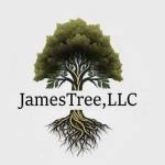 JamesTree LLC Profile Picture