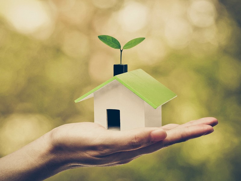 Energy-Efficient Home Improvement: Strategies for a Sustainable Future