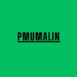 Pmumalin Net Profile Picture
