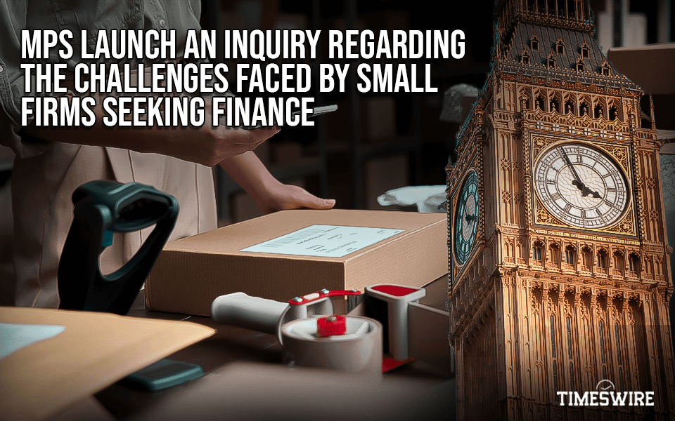 MPs launch an inquiry regarding the challenges faced by small firms seeking finance. - TimesWire