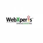 WebXperts Ltd Profile Picture