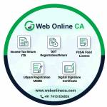WEB ONLINE CA Profile Picture