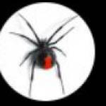 Complete Pest Control Profile Picture