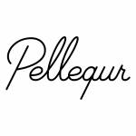 Pellequr 111 Profile Picture