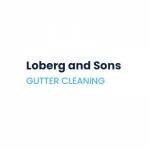 Loberg and Sons Gutter Cleaning Omaha Profile Picture