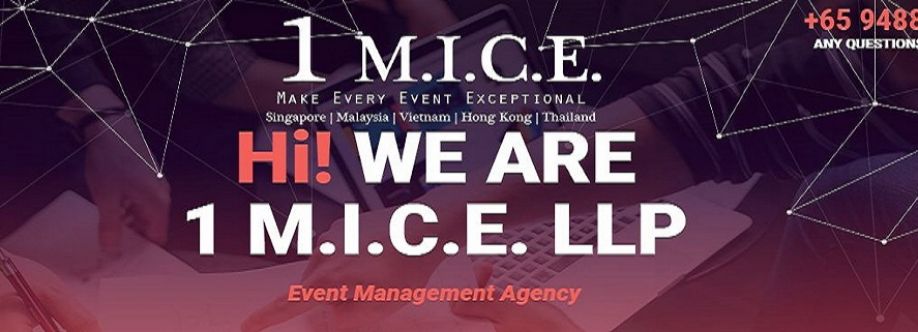 1 MICE LLP Cover Image