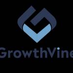 growthvine finamce advisior Profile Picture