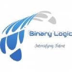 Binary Logic IT llc Profile Picture