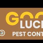 Good Luck Pest Control Profile Picture