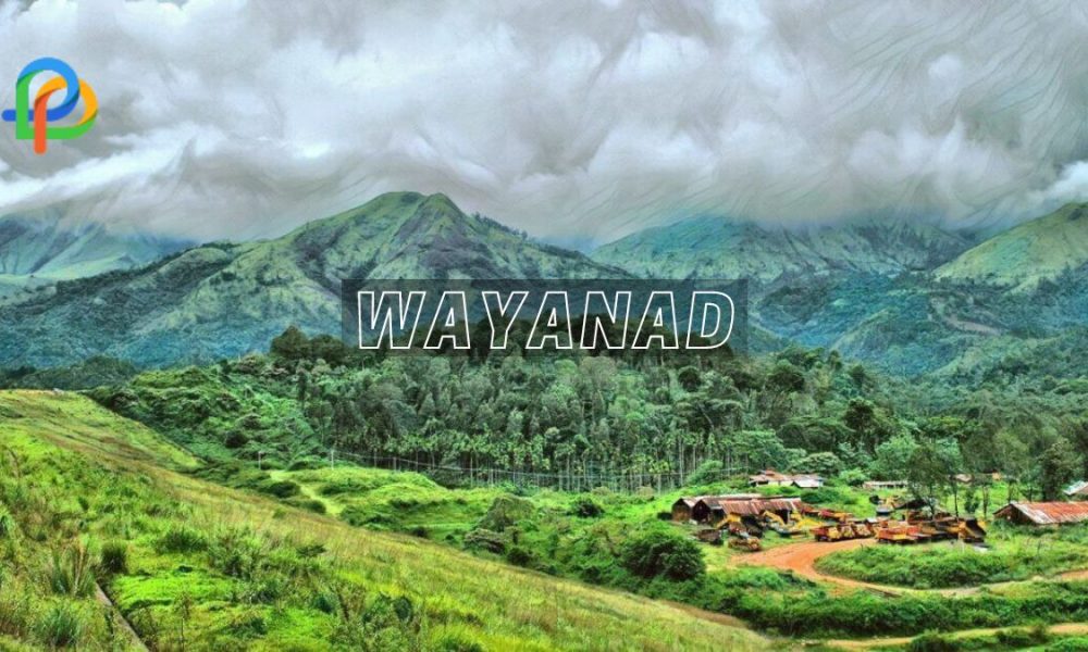 Wayanad: Explore The Ooty of Kerala! Top Attractions!