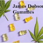 James Dobson CBD Gummies Profile Picture