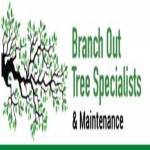branchouttree specialistau Profile Picture