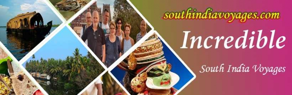 South India Voyages Cover Image