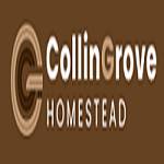 Collin Grove Profile Picture