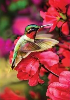 Unveiling the Beauty of Nature with the Floating Hummer Flag | by Garden Houseflags | Aug, 2023 | Medium