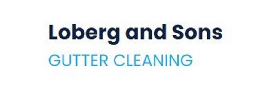 Loberg and Sons Gutter Cleaning Omaha Cover Image