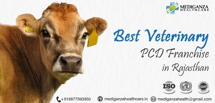 Best Veterinary PCD Franchise in Rajasthan | Veterinary PCD in Rajasthan