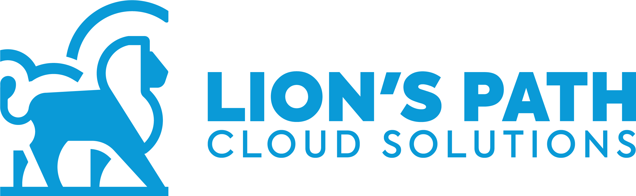 Unleashing the Power of Salesforce: How Non-Profits Can Benefit from Effective Utilization — Lion's Path Consulting