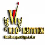 WDO INSTITUTION Profile Picture
