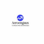 Aeroengaus Business Consultants Profile Picture