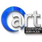 Art Cleaning and Maintenance Services Profile Picture
