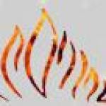 Tandoori Flames Profile Picture