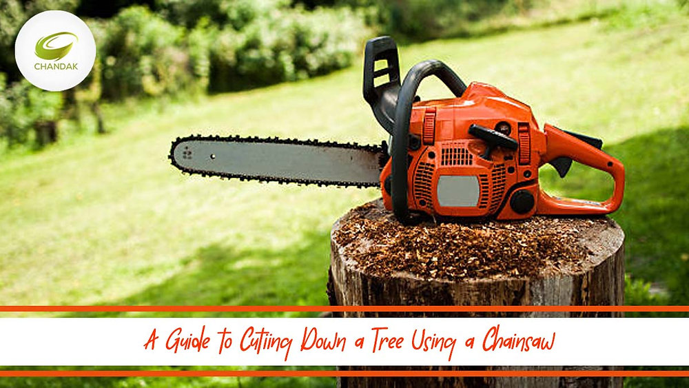 A Guide to Safely and Efficiently Cutting Down a Tree Using a Chainsaw