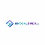 Bivocal Birds Profile Picture