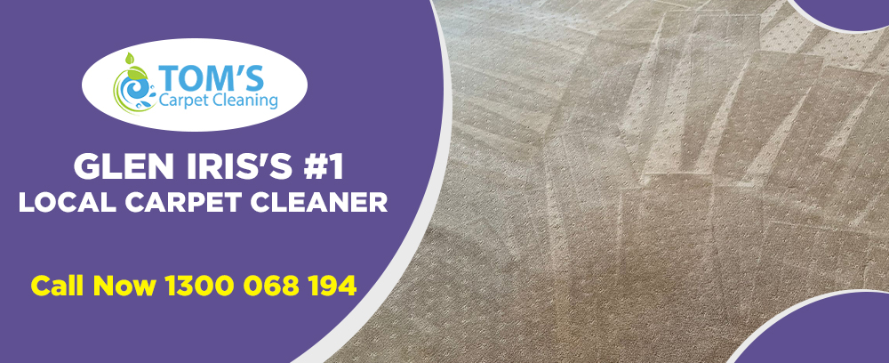 Carpet Cleaning Glen Iris | Rug Cleaners | Toms Carpet Cleaning