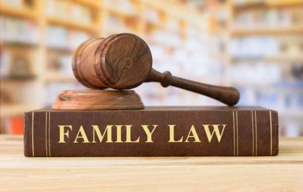 The Finest Family Lawyers in Delhi: Reliable Advice for All Your Family Legal Needs.